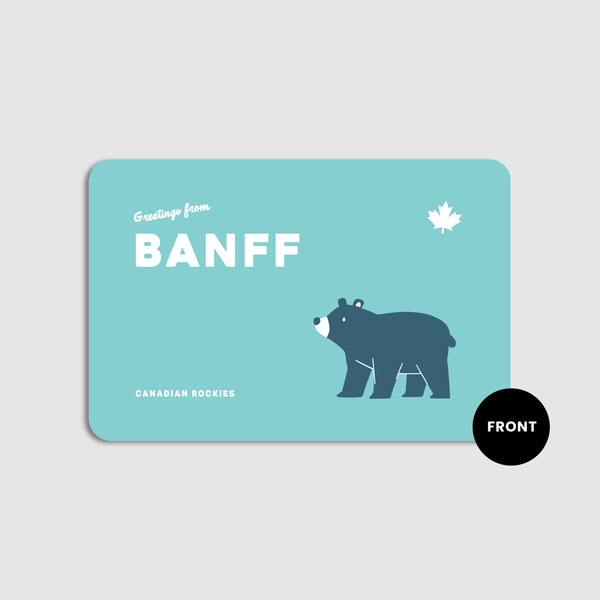 Banff Bear Postcard