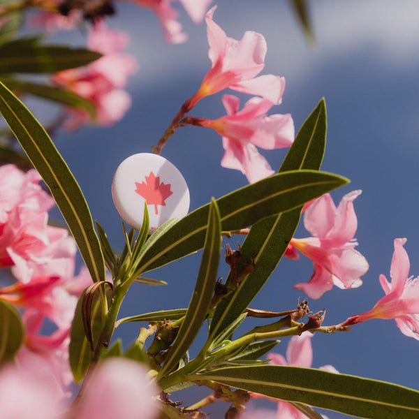 Maple Leaf - Button