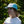 Load image into Gallery viewer, Nylon 5 Panel Cap - Teal
