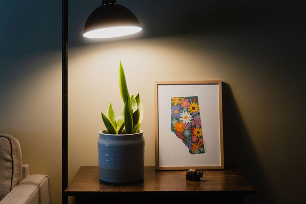 Alberta Wildflower Print